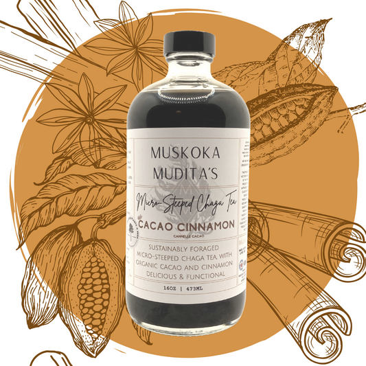 Muskoka Mudita | Cacao Cinnamon - Single-Serve Micro-Steeped Chaga Tea | 16oz (473ml) - Muskoka Mudita - Mushroom Tea Co.