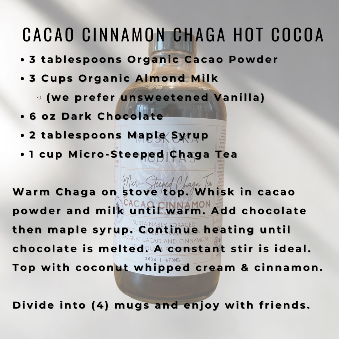 Cacao Cinnamon - Micro-Steeped Chaga Tea | 16oz (473ml) [2-4 servings]