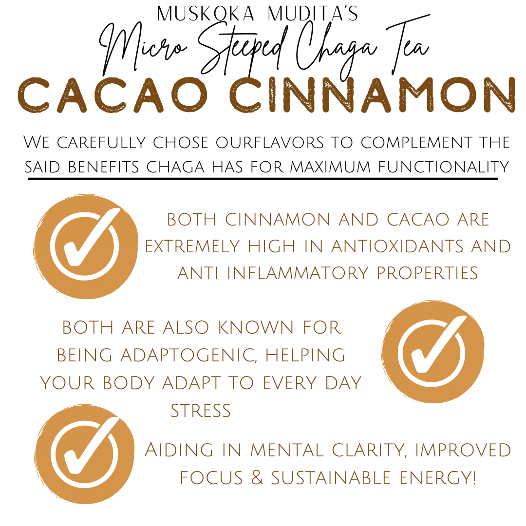 Muskoka Mudita | Cacao Cinnamon - Single-Serve Micro-Steeped Chaga Tea | 16oz (473ml) - Muskoka Mudita - Mushroom Tea Co.
