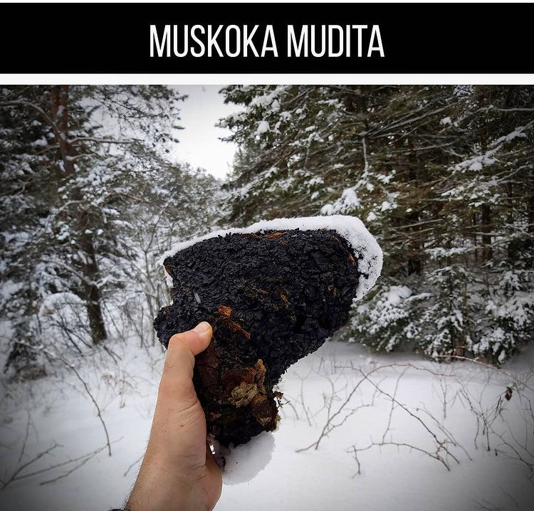 Gift Card | Muskoka Mudita - Winter Walk: Foray Into Foraging - Muskoka Mudita - Mushroom Tea Co,
