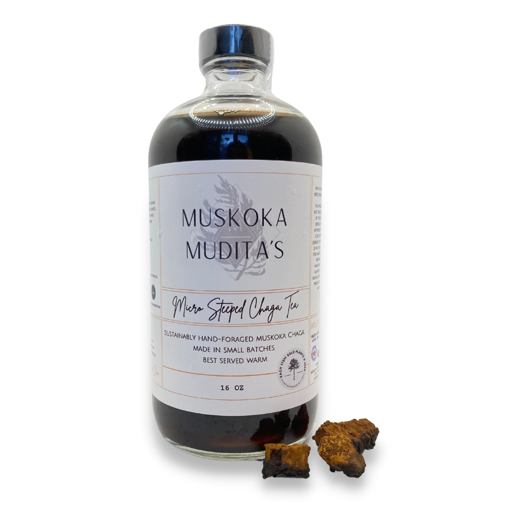 Muskoka Mudita | Single-Serve Micro-Steeped Chaga Tea | 16oz (473ml) - Muskoka Mudita - Mushroom Tea Co.