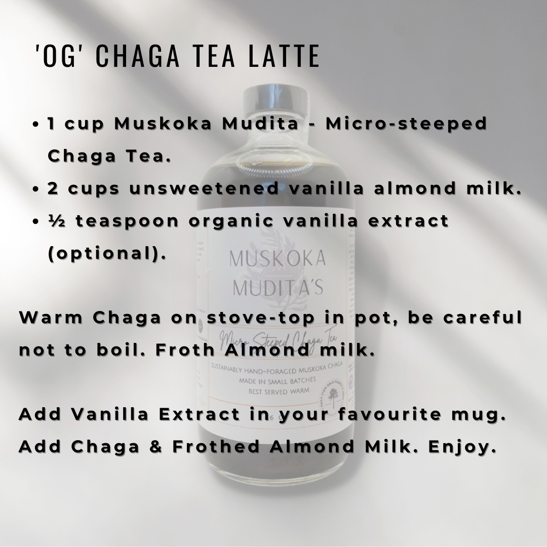 Original 'OG' - Micro-Steeped Chaga Tea | 16oz (473ml) [2-4 servings]